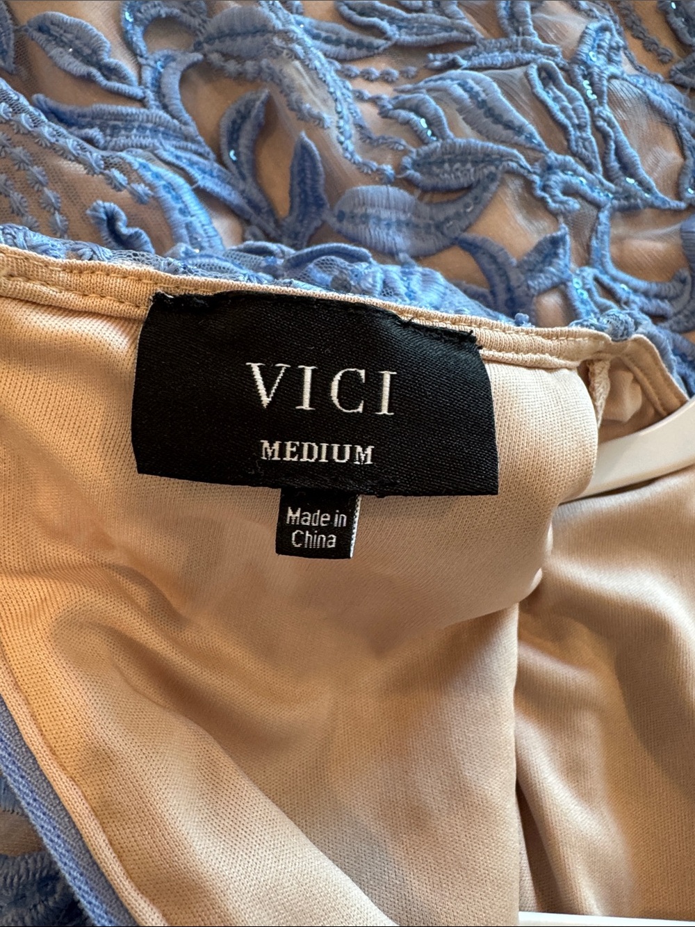 Vici Blue Lace Mini Dress with Sheer Embroidery - Picture 3 of 3